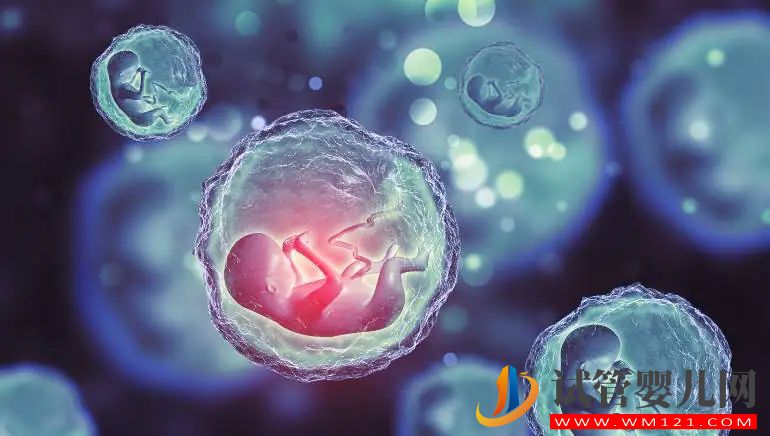 了解可能增加流產(chǎn)風(fēng)險(xiǎn)的 5 個(gè)原因(圖5)