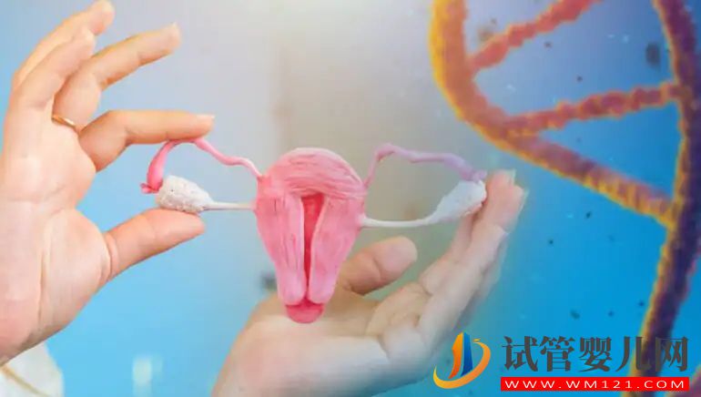 我有一個(gè)輸卵管：我還能懷孕嗎？(圖1)