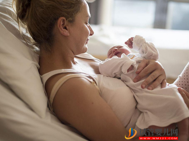 2023年和2024年哪一年生子命運(yùn)最好？(圖1)