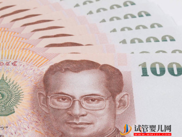 2023年泰國試管助孕費(fèi)用預(yù)估明細(xì)表(圖1)