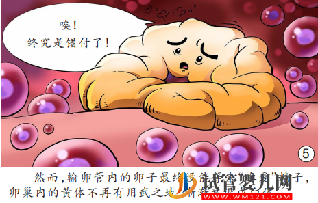 女性為什么會來例假(圖5)