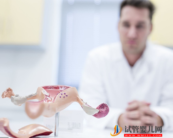 卵巢早衰在南通卵子庫申請(qǐng)供卵試管最快要等幾年？(圖1)