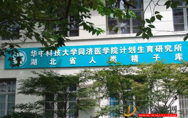 2023湖北精子庫大全，醫院買精子供精人工受孕費用參考(圖2)