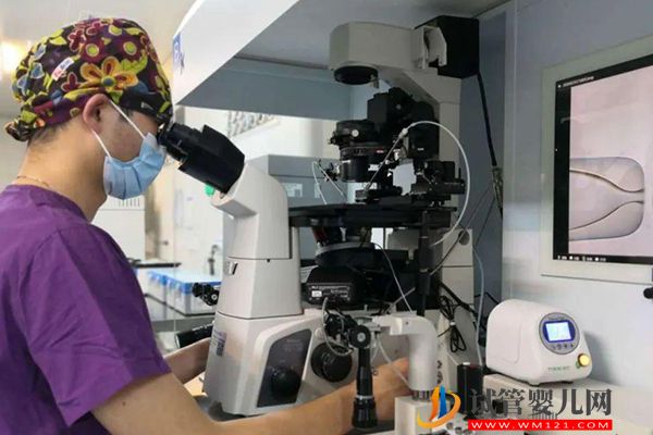 女方有蠶豆病可做試管選擇性別，但并非只能做三代助孕(圖2)