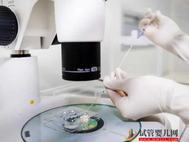 單身女性澳門凍卵全攻略，詳細價格、流程一文講清(圖1)