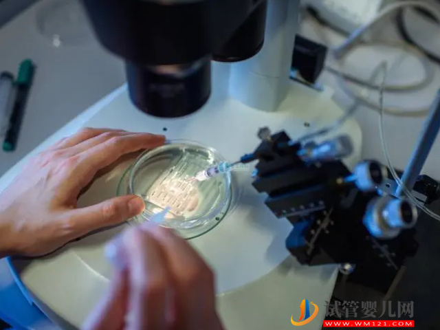 地中海貧血做試管流程及費(fèi)用，避免遺傳必須選三代(圖4)