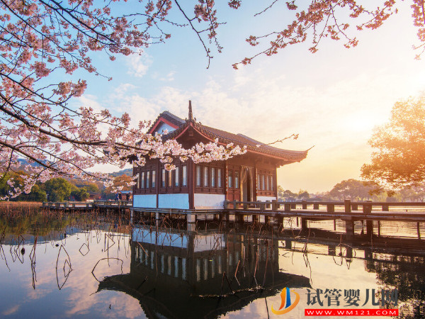 杭州人工授精哪個醫院好，真實助孕成功率排名參考(圖1)