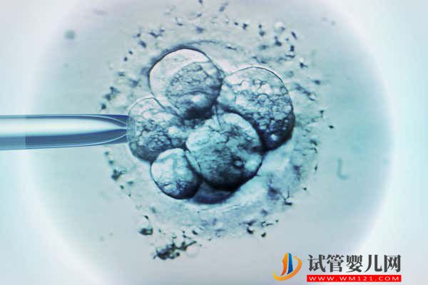 海南人工授精醫院一共有8家，哪家好等你來揭曉(圖1)