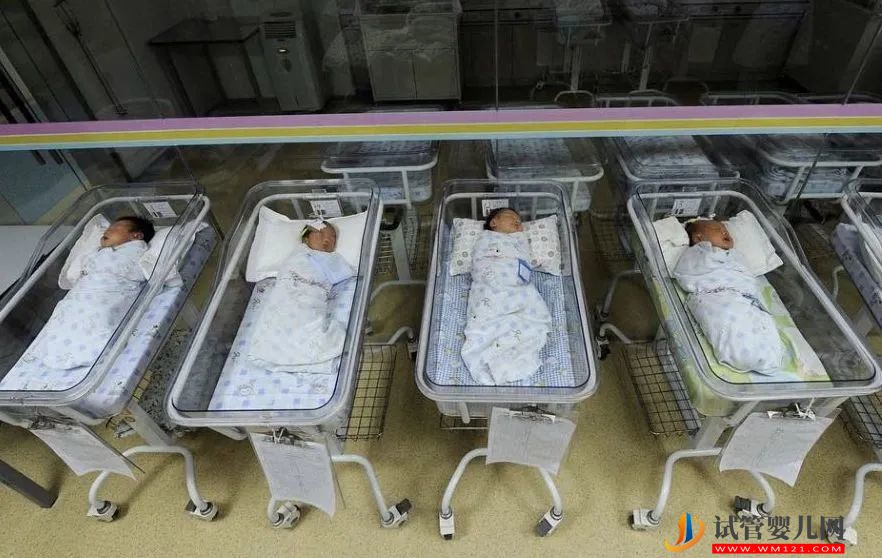 有條件放開“凍卵”、“試管嬰兒”，政協(xié)委員為大齡未婚女性生育支招(圖1)