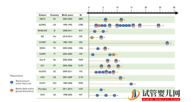 研究揭示：“試管嬰兒”心臟代謝健康結(jié)果與自然受孕兒童無異！(圖2)