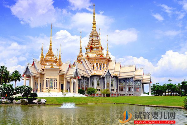 2023赴泰國供卵生子費用明細表，預(yù)算10萬是最低線(圖1)