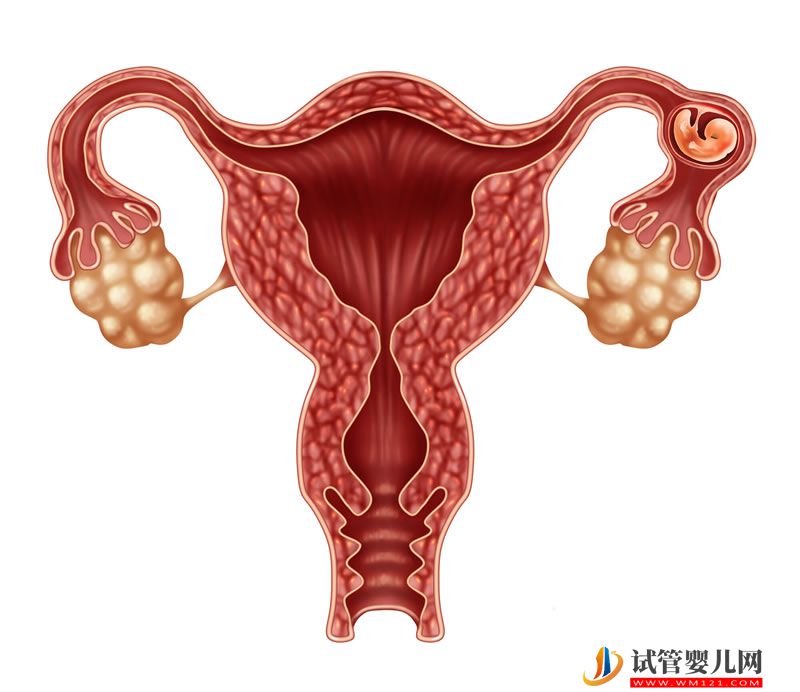 成都子宮害怕這些事情(圖1)