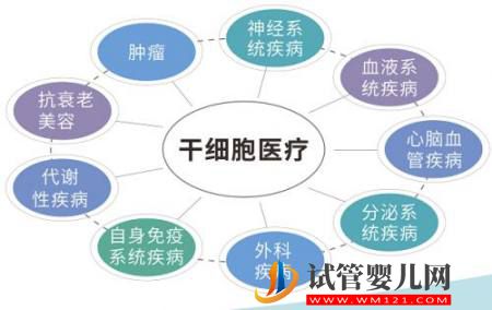 我們所說的干細胞，到底是什么？(圖4)