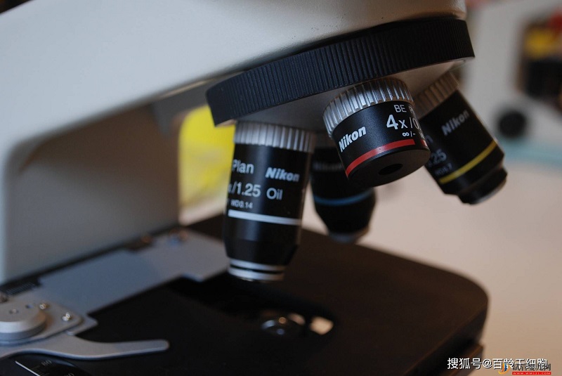 干細胞臉部注射效果很好嗎？(圖3)