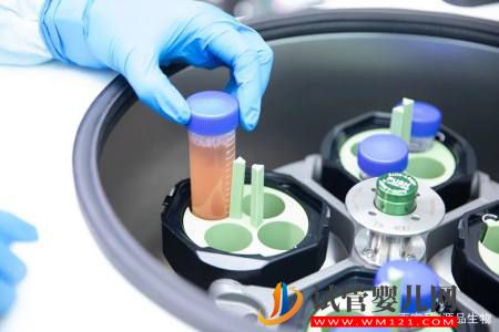 我國(guó)干細(xì)胞臨床研究和轉(zhuǎn)化應(yīng)用加速發(fā)展，CDE又有重磅發(fā)布(圖3)