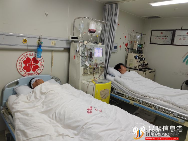 同一天同一采集室 兩只大愛“兔子”同時捐獻造血干細胞(圖1)