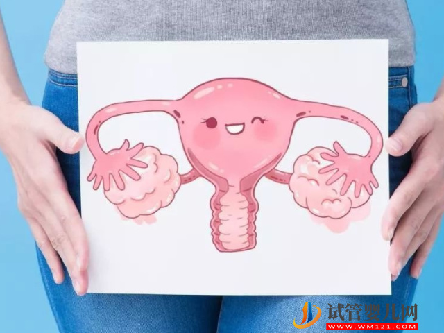 圖解多囊卵巢的不同類型，是輕是重看完見分曉(圖2)