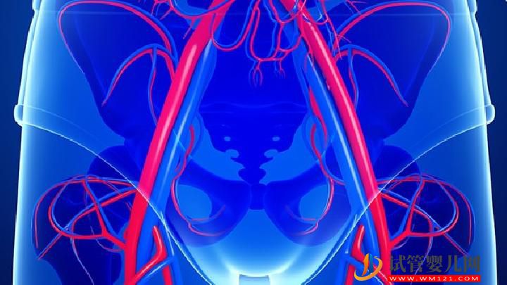 哪什么湯可以調理月經不調？5種高湯可以調理月經不調(圖1)