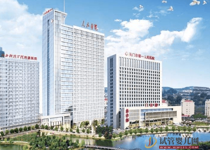 天門(mén)市第一人民醫(yī)院試管嬰兒費(fèi)用表，2023總花費(fèi)明細(xì)參照(圖1)