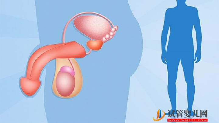 男性性功能障礙的癥狀有哪些？男性性功能障礙的癥狀表現介紹(圖1)