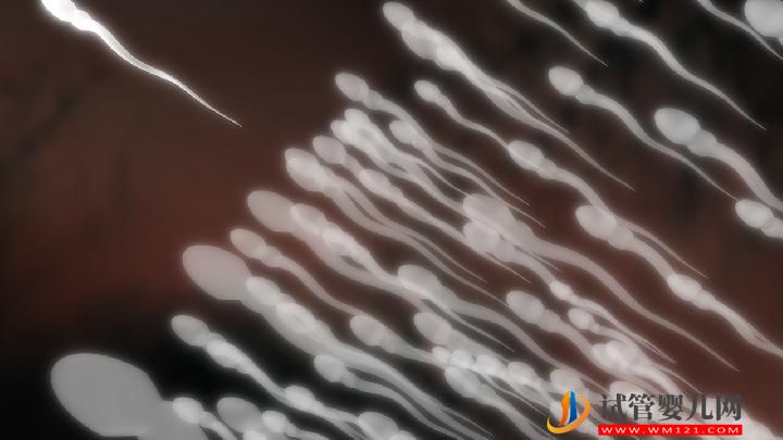 引起男性不育有哪些原因？4大男性疾病易發男性不育(圖1)