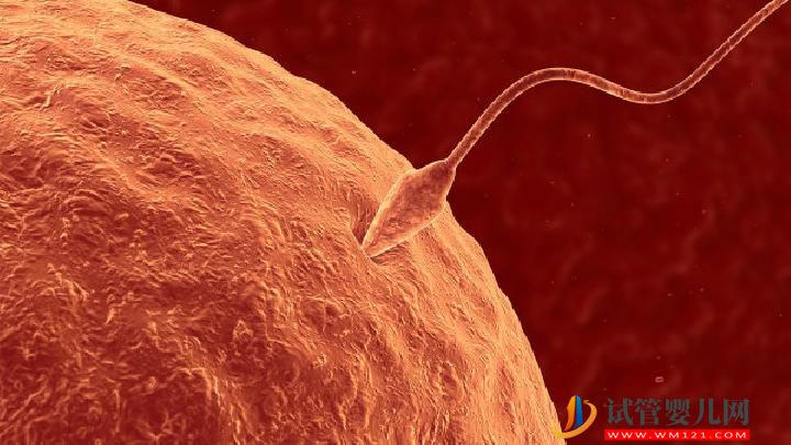 吃瓜子類食物可防男性不育嗎 男人吃什么食物可防不育？(圖1)