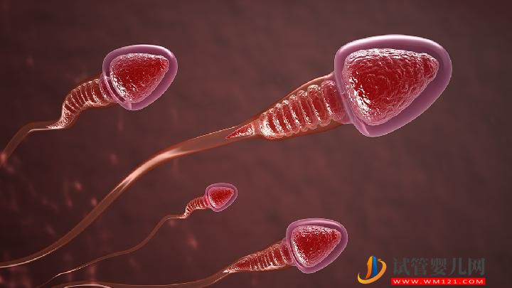 哪些不良飲食會影響生育？飲食不當會誘發男性不育嗎？(圖2)