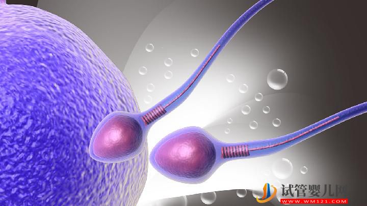 男性不育并發(fā)癥有哪些？男性防不育可多吃七種美食(圖2)