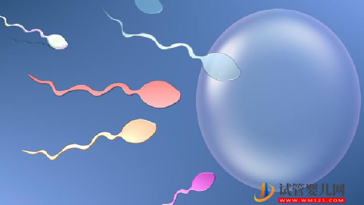 男性不育并發(fā)癥有哪些？男性防不育可多吃七種美食(圖4)