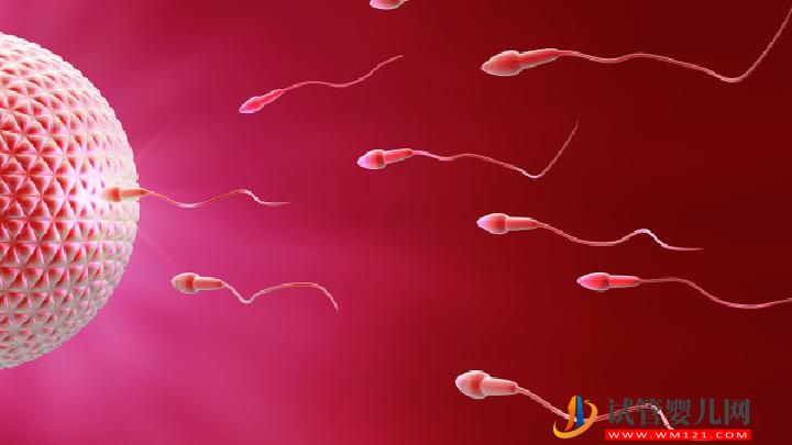 男性不育并發(fā)癥有哪些？男性防不育可多吃七種美食(圖5)