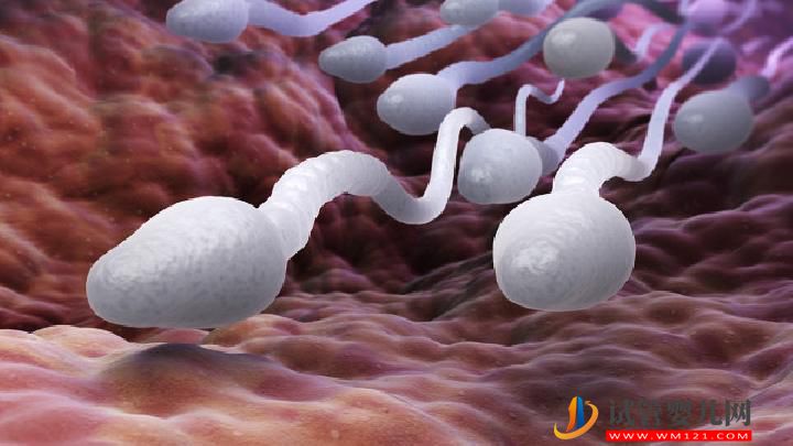 怎么治療男性不育？男性不育在服藥期間懷孕了怎么辦好？(圖1)