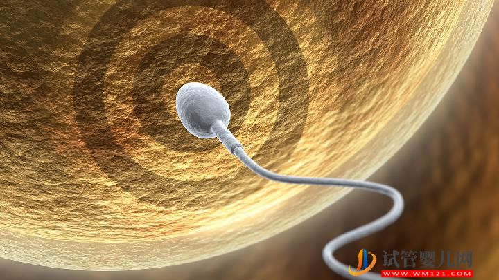 男人怎么預(yù)防不育?預(yù)防不育堅(jiān)持做到這7點(diǎn)(圖1) 男人怎么預(yù)防不育?預(yù)防不育堅(jiān)持做到這7點(diǎn)(圖1)