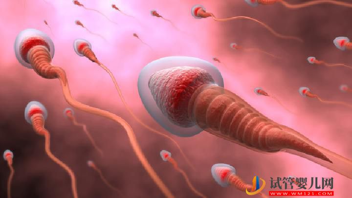 男性不育要做哪些檢查確診？常見的男性不育有哪些？(圖3)