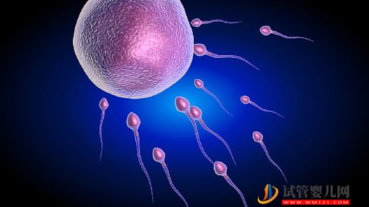 男性不育的四大治療誤區 男性不育的治療方法有哪些？(圖2)