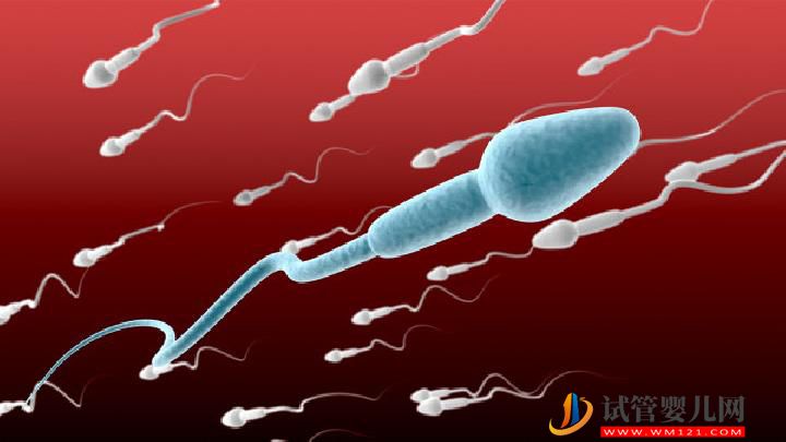 男性不育食療有哪些食療方法 不育男性應多吃這4類食物(圖2)