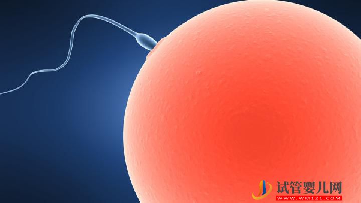 男性不育應做哪些檢查？這5種檢查項目必不可少(圖2)