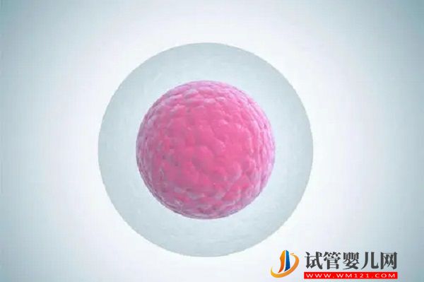 文昌市人民醫院試管嬰兒費用參考，2023造娃價目表公布(圖2)