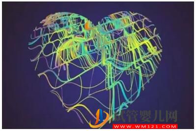 澳大利亞試管嬰兒備孕指南！(圖1)