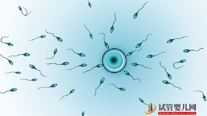 為什么男性不育的發(fā)病率越來越高？男性不育醫(yī)生分析了這4個原因(圖2)