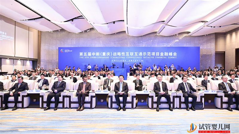 第五屆中新金融峰會開幕(圖2)