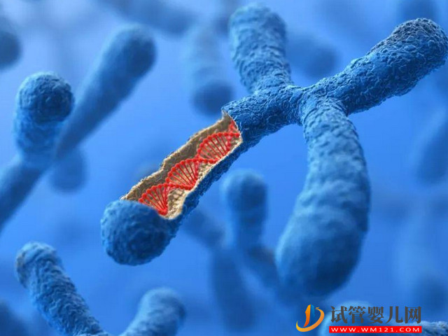 40歲去老撾做供卵試管嬰兒15萬夠嗎？(圖2)