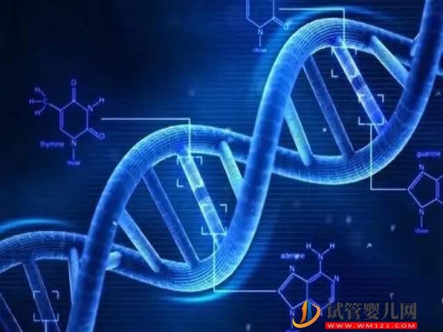 無創dna發現胚胎20號染色體異常嚴重嗎？(圖1)