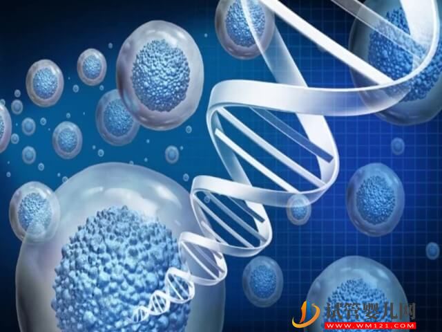 胎兒1號染色體片段重復超過多少mb不能要？(圖1)