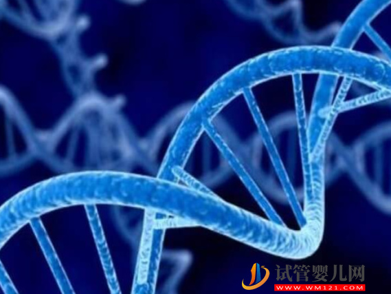 胎兒1號(hào)染色體和6號(hào)平衡易位有辦法解決嗎？(圖1)