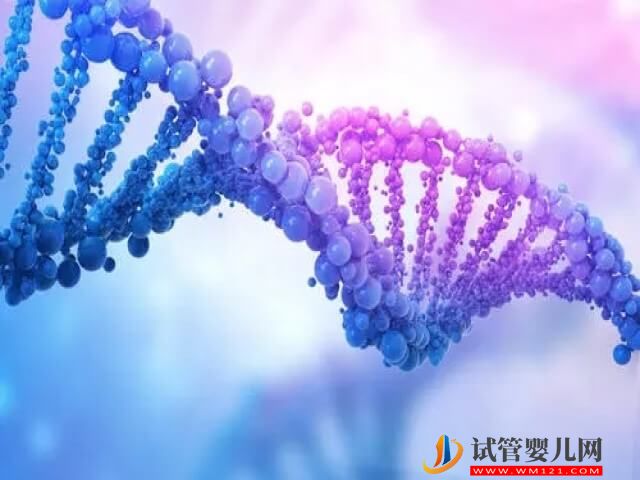 1號染色體部分缺失的鮮胚還能進行試管移植嗎？(圖1)