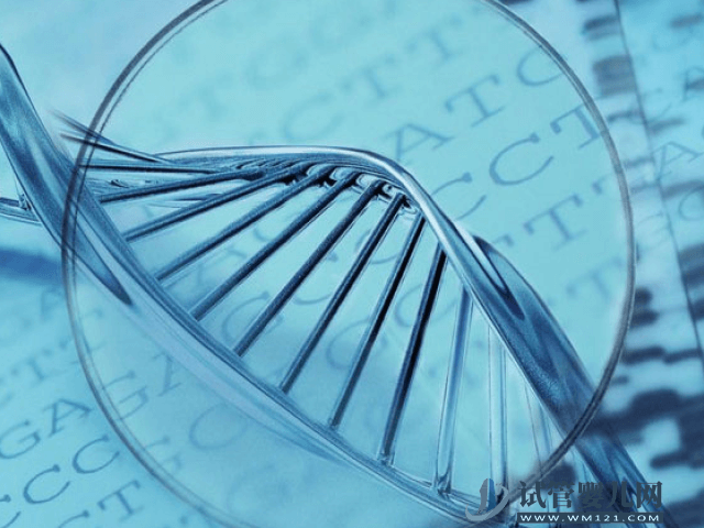 2號染色體缺失多少mb會對胚胎智力發育有影響？(圖1)