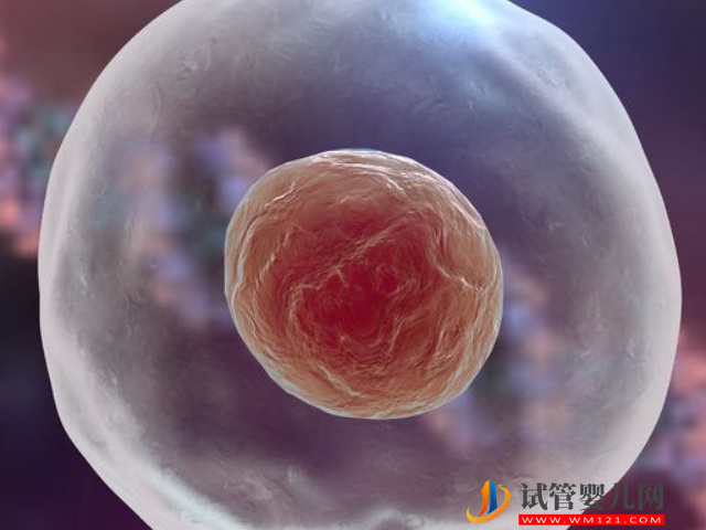 坐高鐵去香港做試管嬰兒，這3種資料缺一不可(圖2)