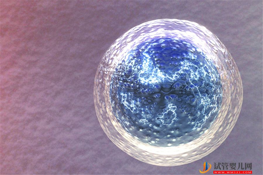 老撾試管嬰兒胚胎是怎么培養的？(圖2)