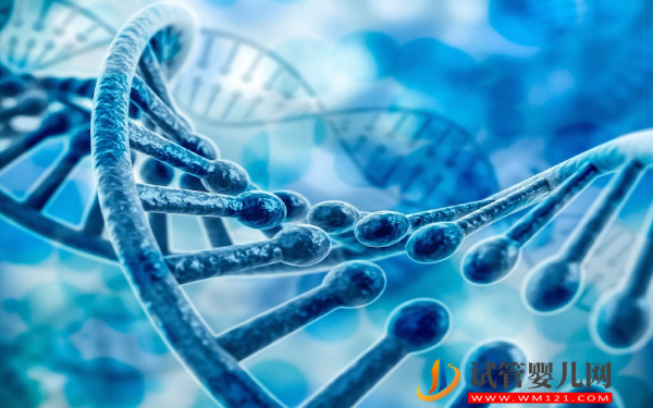 老撾試管嬰兒胚胎是怎么培養的？(圖3)