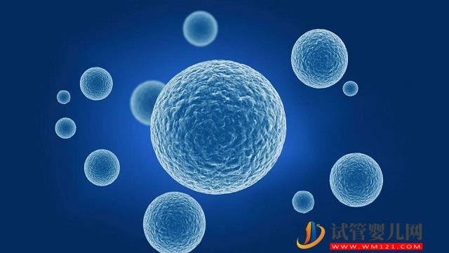 男性不育常見(jiàn)病一覽,輸精管阻塞占不孕人群的30%(圖1) 男性不育常見(jiàn)病一覽,輸精管阻塞占不孕人群的30%(圖1)